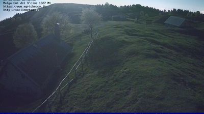 immagine della webcam nei dintorni di Limana: webcam Pian del Cansiglio