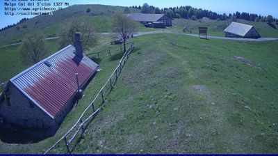 immagine della webcam nei dintorni di Pieve d'Alpago: webcam Pian del Cansiglio