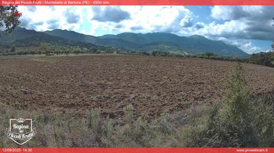 immagine della webcam nei dintorni di Santa Filomena: webcam Montebello di Bertona