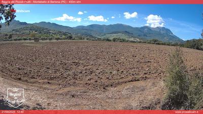 immagine della webcam nei dintorni di Loreto Aprutino: webcam Montebello di Bertona