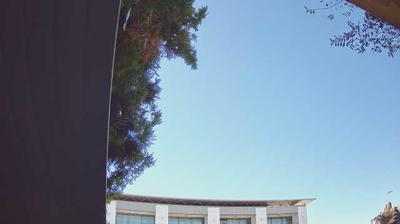 Preview delle webcam di Peschiera del Garda