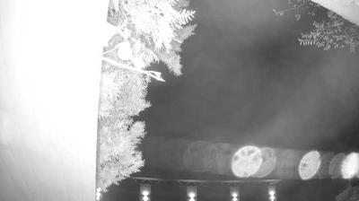 immagine della webcam nei dintorni di Lazise: webcam Peschiera del Garda