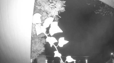 immagine della webcam nei dintorni di Pescantina: webcam Peschiera del Garda