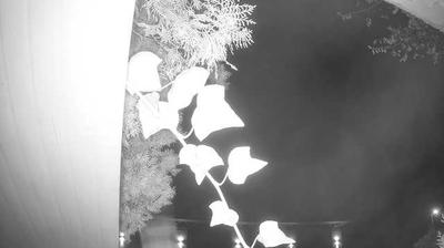 immagine della webcam nei dintorni di Lazise: webcam Peschiera del Garda