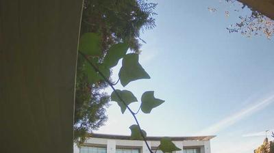 immagine della webcam nei dintorni di Bardolino: webcam Peschiera del Garda