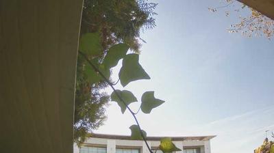 immagine della webcam nei dintorni di Goito: webcam Peschiera del Garda