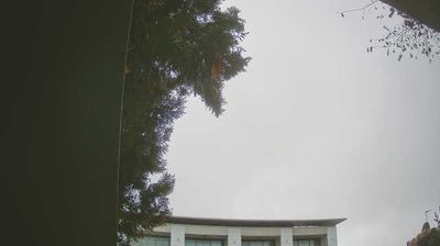 Preview delle webcam di Peschiera del Garda