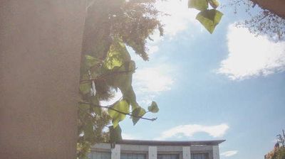 Preview delle webcam di Peschiera del Garda