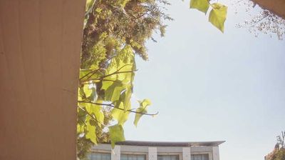 immagine della webcam nei dintorni di Verona: webcam Peschiera del Garda