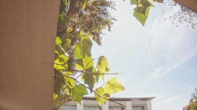 immagine della webcam nei dintorni di Marano di Valpolicella: webcam Peschiera del Garda