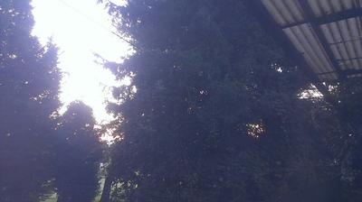 immagine della webcam nei dintorni di Brunate: webcam Lentate sul Seveso