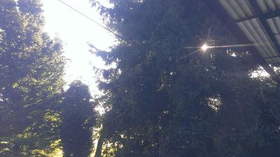 immagine della webcam nei dintorni di Alzate Brianza: webcam Lentate sul Seveso