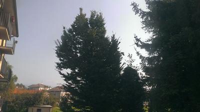 immagine della webcam nei dintorni di Brunate: webcam Lentate sul Seveso