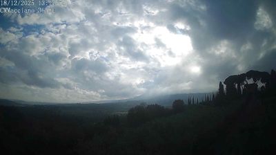 Preview delle webcam di Sarteano