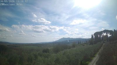 Preview delle webcam di Sarteano