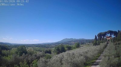 Preview delle webcam di Sarteano