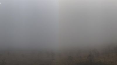 immagine della webcam nei dintorni di Novi di Modena: webcam Arceto