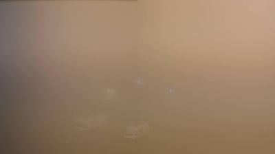 immagine della webcam nei dintorni di Pinzolo: webcam Passo Tonale
